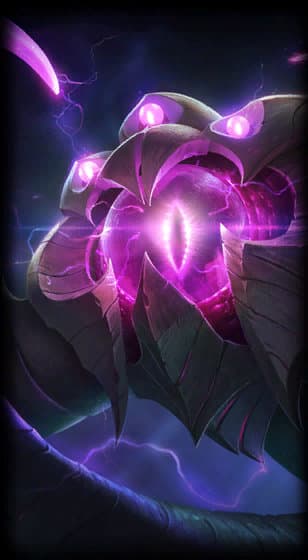 벨코즈